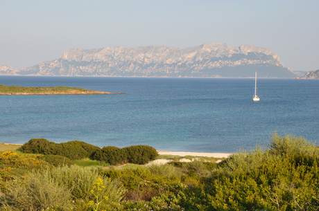 Isola Tavolara, Olbia, Costa Smeralda, Sardegna, Italia.